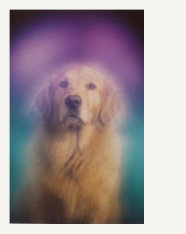 Aura portrait of a dog with violet and teal aura
